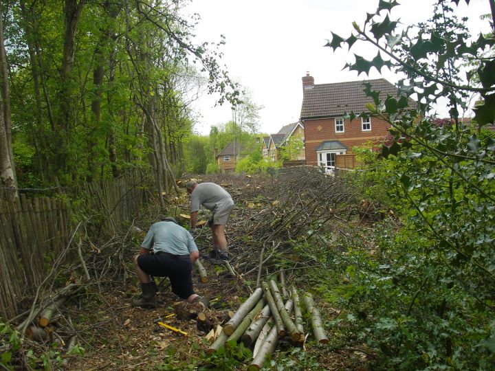 Coppicing. Photo: Medway Valley, CMP