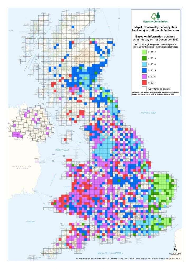 UK outbreak map. Source: Forestry Commission